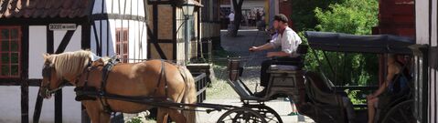 Oplevelser i Danmark - tag på oplevelsesophold